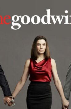 The Good Wife الموسم 2