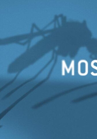 فيلم Mosquito State 2020 مترجم