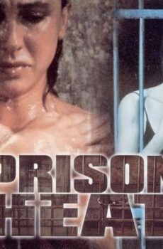 فيلم Prison Heat 1993 مترجم