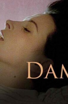 فيلم Damage 1992 مترجم