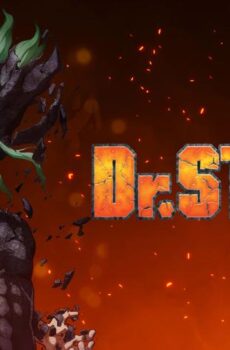 Dr. Stone