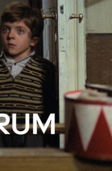 فيلم The Tin Drum 1979 مترجم