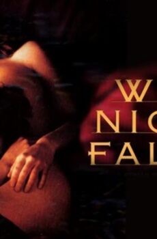 فيلم When Night Is Falling 1995 مترجم
