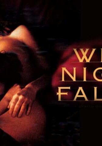 فيلم When Night Is Falling 1995 مترجم