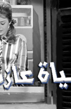 فيلم حياة عازب (1963)