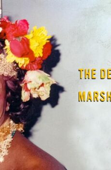 فيلم The Death and Life of Marsha P. Johnson 2017 مترجم