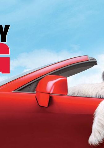 فيلم The Shaggy Dog 2006 مترجم