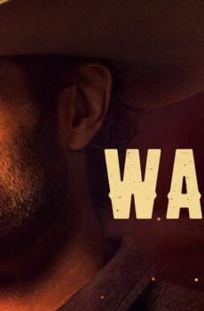 Walker الموسم 2