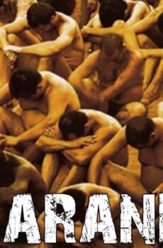 فيلم Carandiru 2003 مترجم
