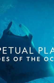 فيلم Perpetual Planet: Heroes of the Oceans 2021 مترجم