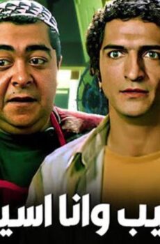 فيلم سيب وأنا أسيب (2004)