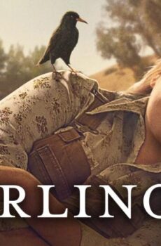 فيلم The Starling 2021 مترجم