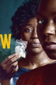 فيلم Swallow 2021 مترجم