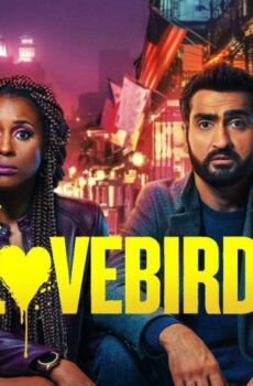 فيلم The Lovebirds 2020 مترجم