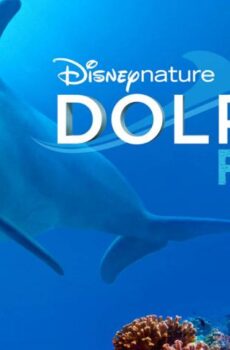 فيلم Dolphin Reef 2020 مترجم