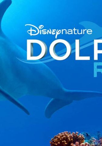 فيلم Dolphin Reef 2020 مترجم