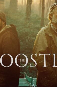 فيلم The Rooster 2023 مترجم