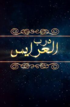 مسلسل  درب العرايس الحلقة 29 التاسعة والعشرون