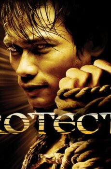 فيلم The Protector 2005 مترجم