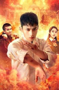 فيلم Young Ip Man: Crisis Time 2020 مترجم