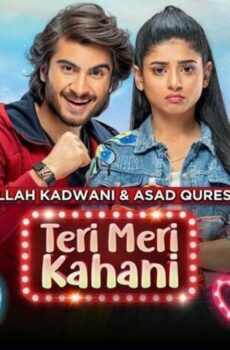 فيلم Teri Meri Kahani 2021 مترجم