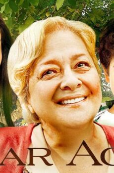 فيلم Cinar Agaci 2011 مترجم