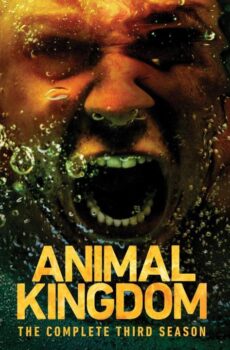 Animal Kingdom الموسم 3