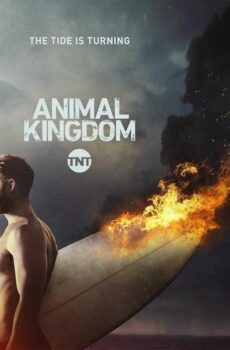 Animal Kingdom الموسم 2