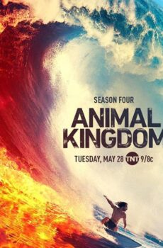 Animal Kingdom الموسم 4