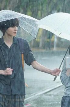 فيلم Even if This Love Disappears from the World Tonight 2025 مترجم