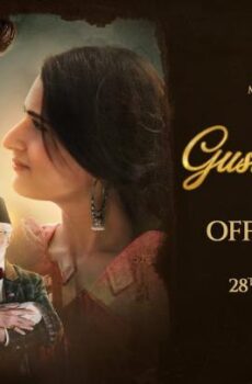 فيلم Gustaakh Ishq 2025 مترجم