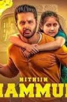فيلم Thammudu 2025 مترجم