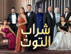 مسلسل شراب التوت الموسم 3 الحلقة 10 العاشرة مدبلج