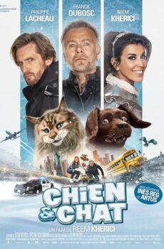 فيلم Chien et chat 2024 مترجم
