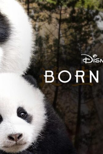 فيلم Born in China 2016 مترجم