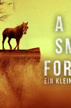 فيلم A Small Fortune 2021 مترجم