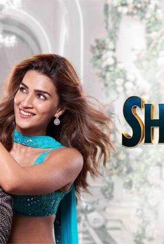 فيلم Shehzada 2023 مترجم