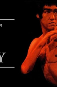 فيلم Fist of Fury 1972 مترجم