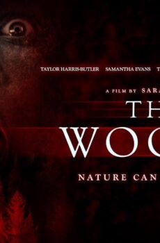 فيلم The Woods 2024 مترجم