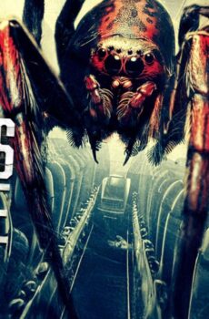 فيلم Spiders on a Plane 2024 مترجم