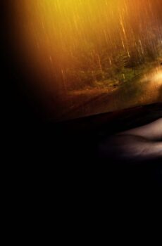 فيلم Trunk 2023 مترجم