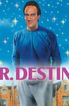 فيلم Mr. Destiny 1990 مترجم
