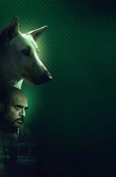 فيلم البحث عن منفذ لخروج السيد رامبو 2024