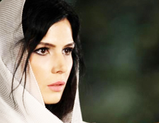 مسلسل السيدة ديلا الحلقة 48